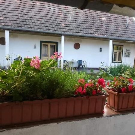 Terez Haza Hotel Pazmand Bagian luar foto