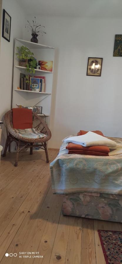 Terez Haza Hotel Pazmand Bagian luar foto