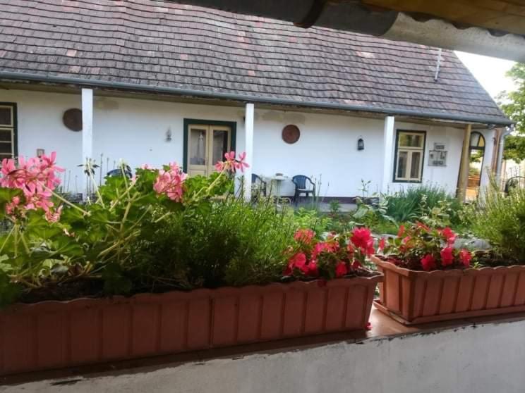 Terez Haza Hotel Pazmand Bagian luar foto