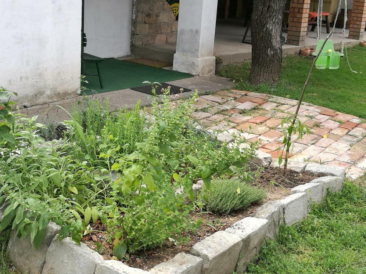Terez Haza Hotel Pazmand Bagian luar foto